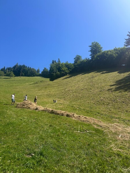 img-20250703-wa0001