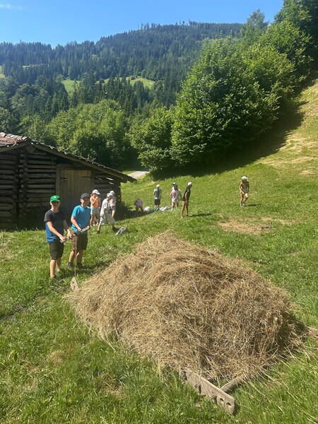 img-20250703-wa0015