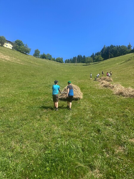 img-20250703-wa0019