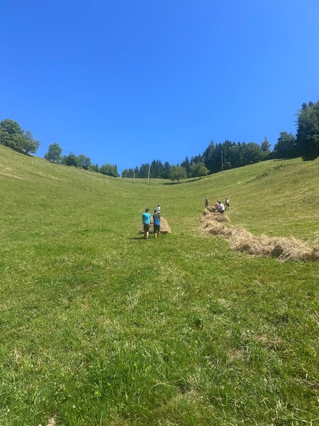img-20250703-wa0021