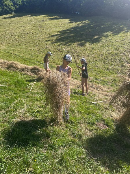 img-20250703-wa0027