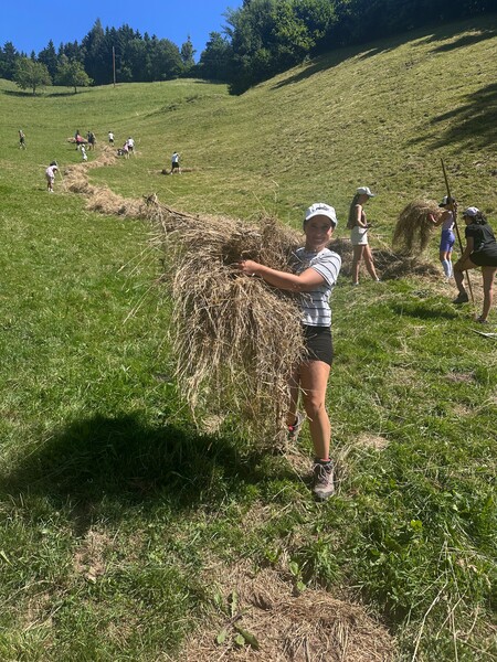 img-20250703-wa0029