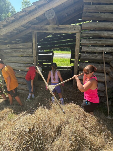 img-20250703-wa0041
