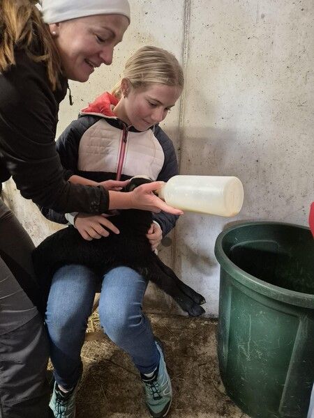 Img 20251024 Wa0051 Img 20251024 Wa0051