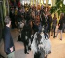krampus_11